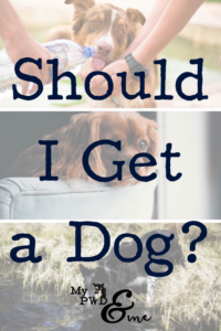 Should I Get a Dog - My PWD and Me