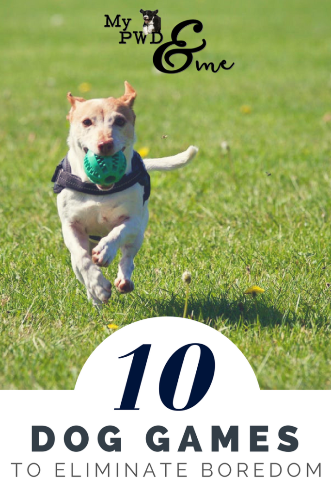 My PWD and Me - 10 Dog Games to Eliminate Boredom