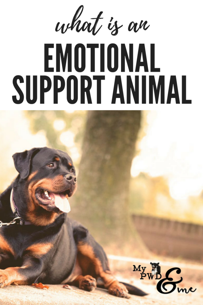 My PWD and Me - What Is an Emotional Support Animal