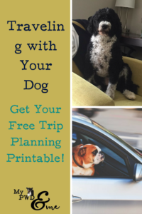 Traveling with Your Dog - My PWD and Me