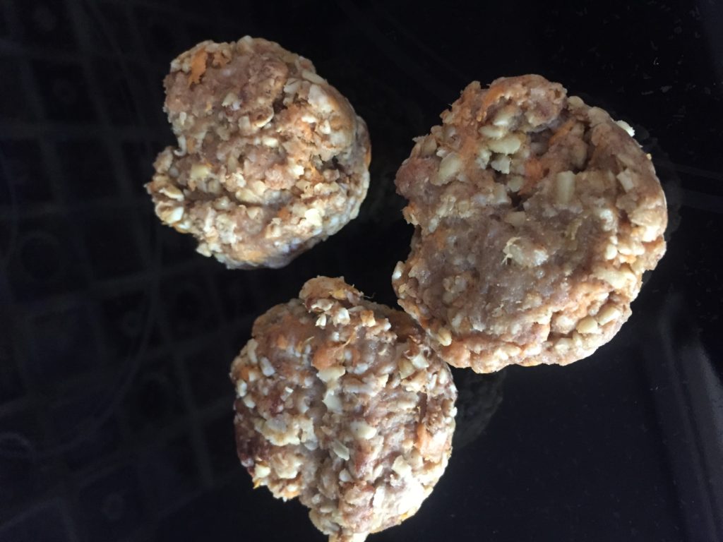 My PWD and Me - Easy Dog Treat Recipe - Turkey Meatballs