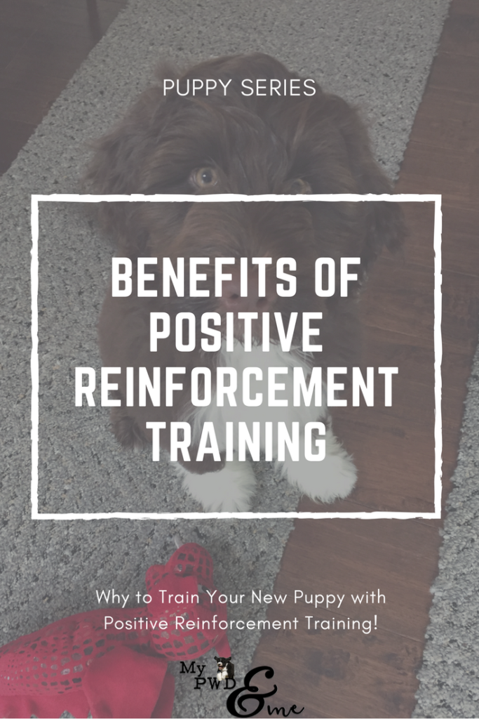 Positive Reinforcement Training - My PWD & Me