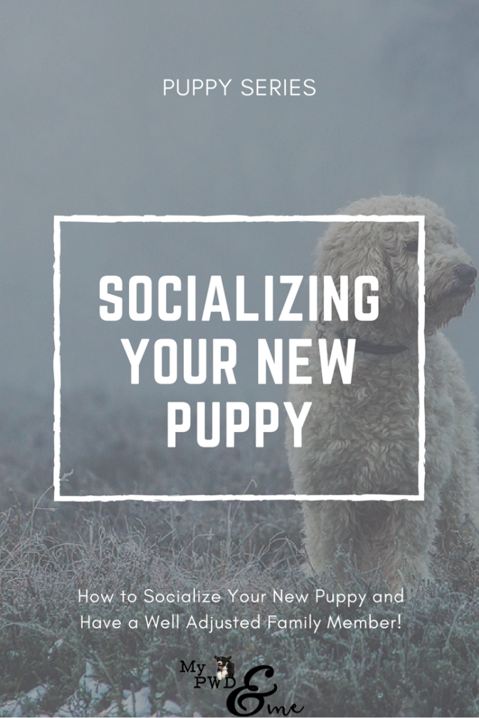 Socializing Your Puppy - My PWD & Me