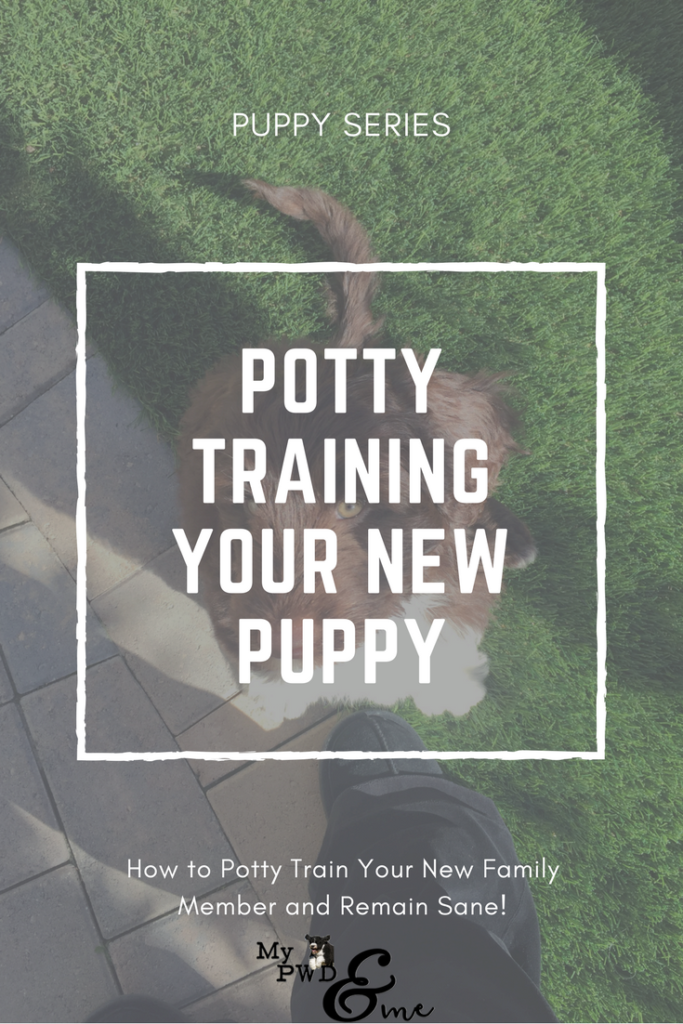 Potty Training Your Puppy - My PWD and Me