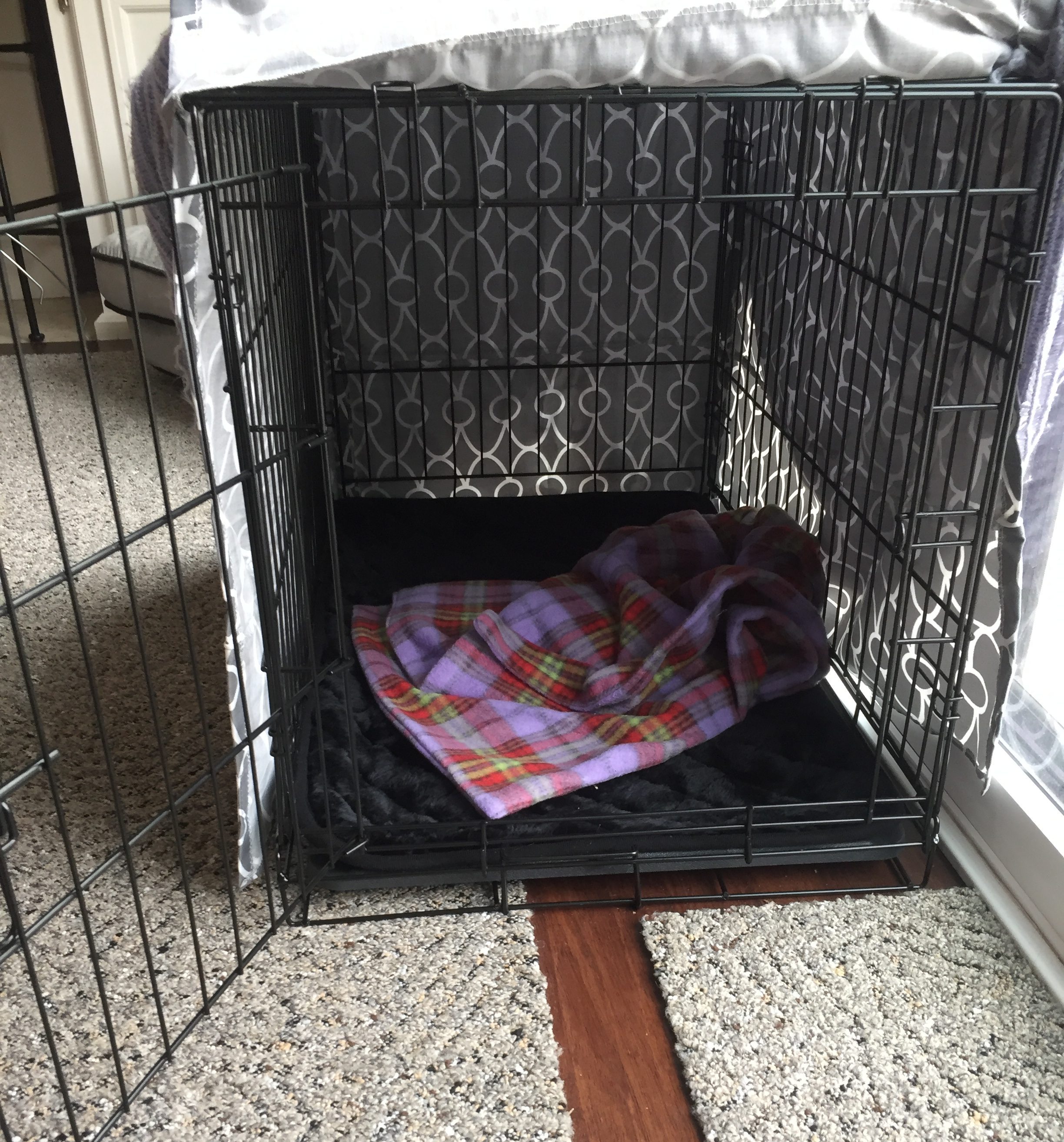 Crate Training Your Puppy - My PWD and Me