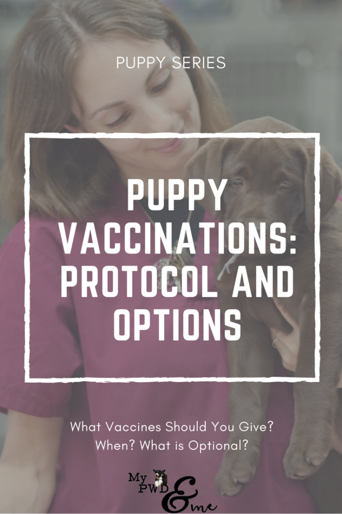 Vaccinations for Your Puppy - My PWD and Me