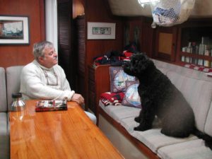 Portuguese Water Dog - Naughty or Nice - My PWD and Me