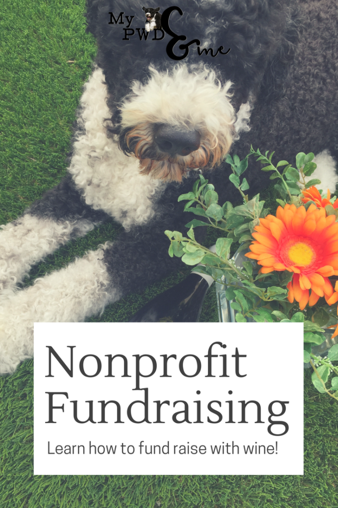 Nonprofit Fundraising - My PWD and Me