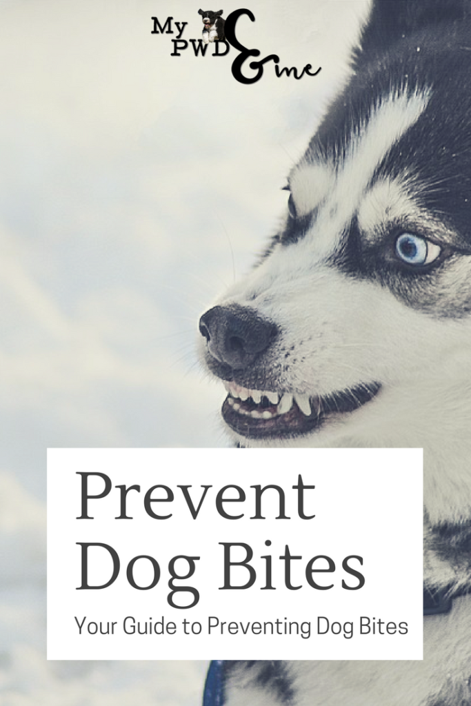 Guide to Prevent Dog Bites - My PWD and Me