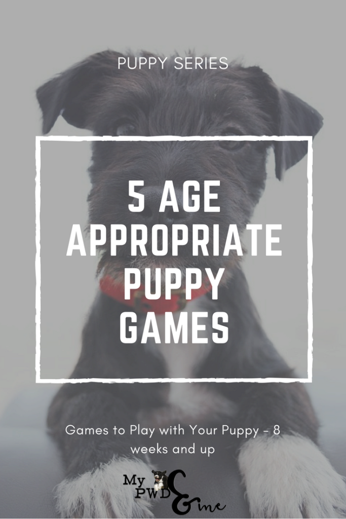 Age Appropriate Puppy Games - My PWD and Me