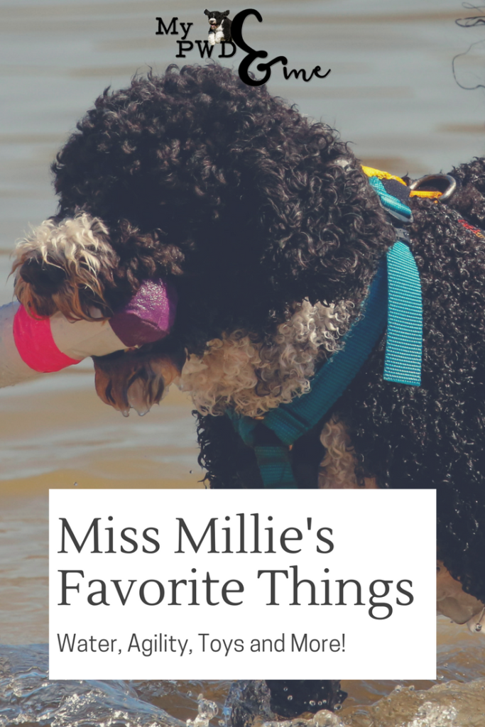 Miss Millie's Favorite Things - My PWD and Me