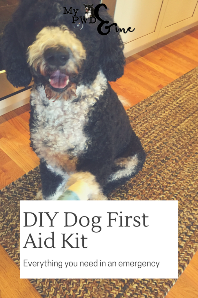 Dog First Aid Kit - My PWD and Me