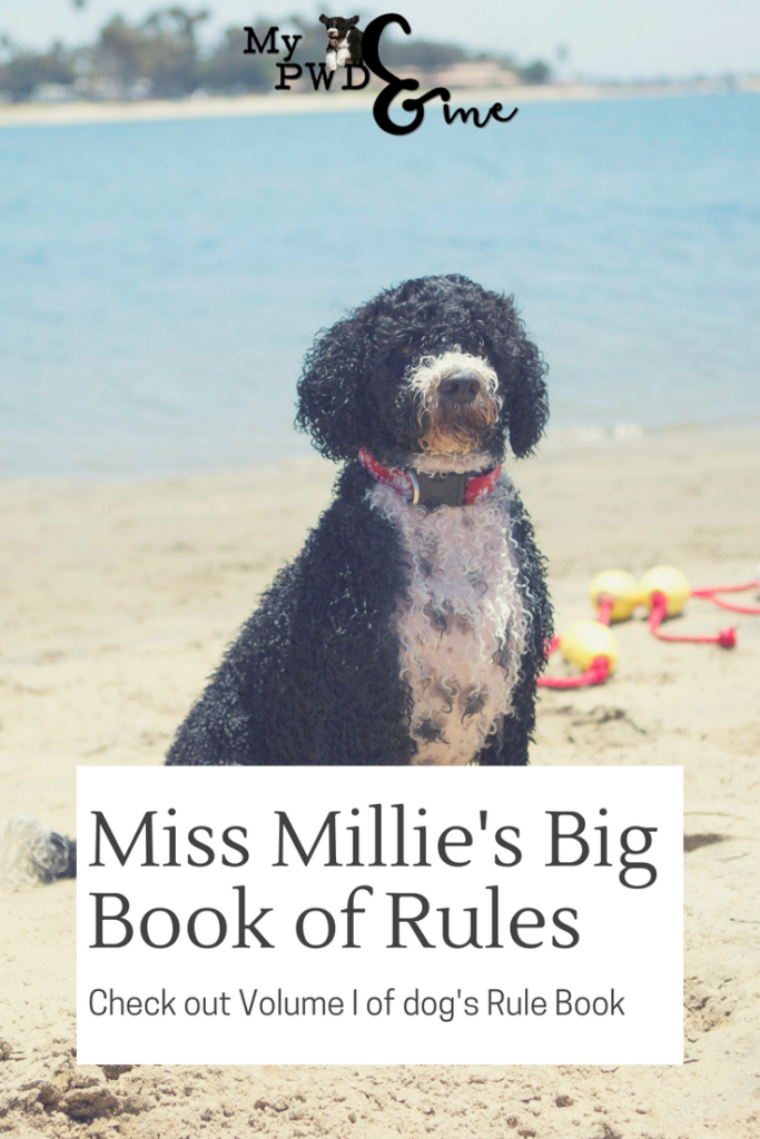 Miss Millie's Dog Rule Book - My PWD and Me