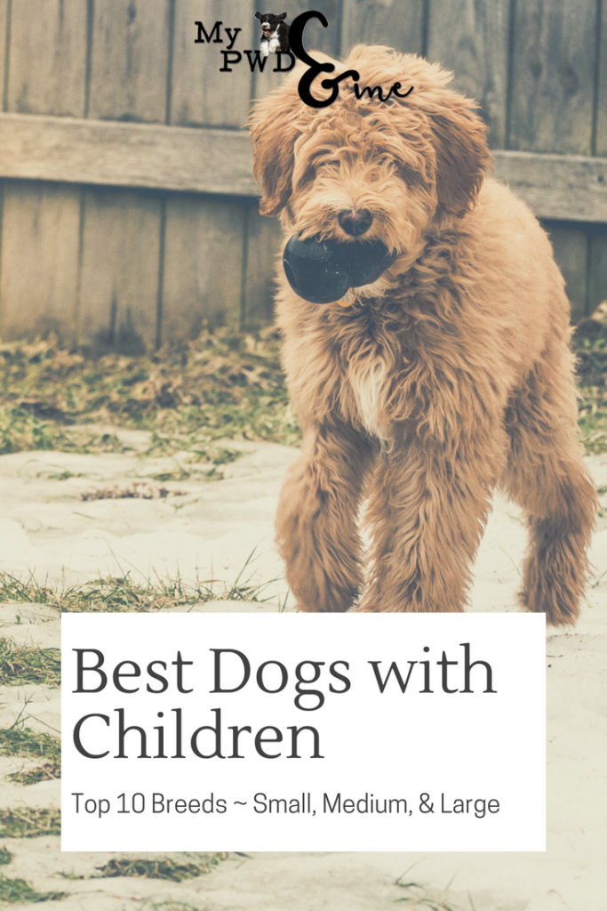 Best Dogs with Children - My PWD and Me