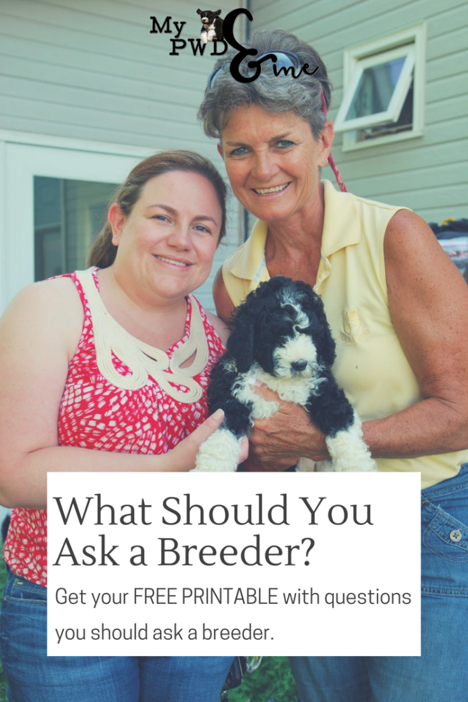 Questions You Should Ask A Breeder - My PWD and Me