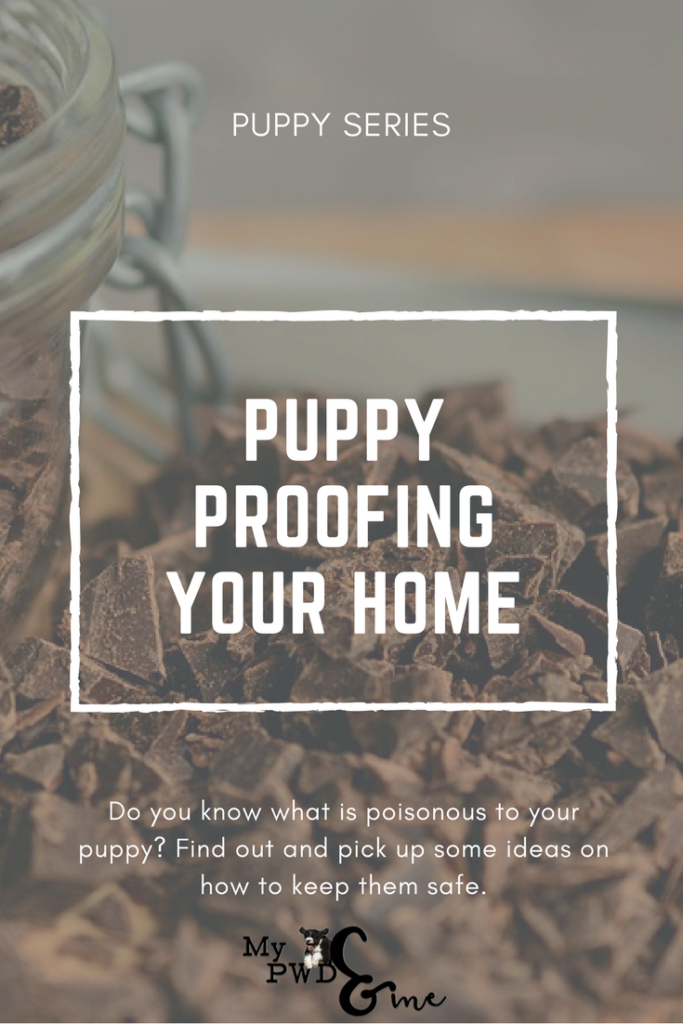 Puppy Series: How to Puppy Proof Your Home - My PWD and Me