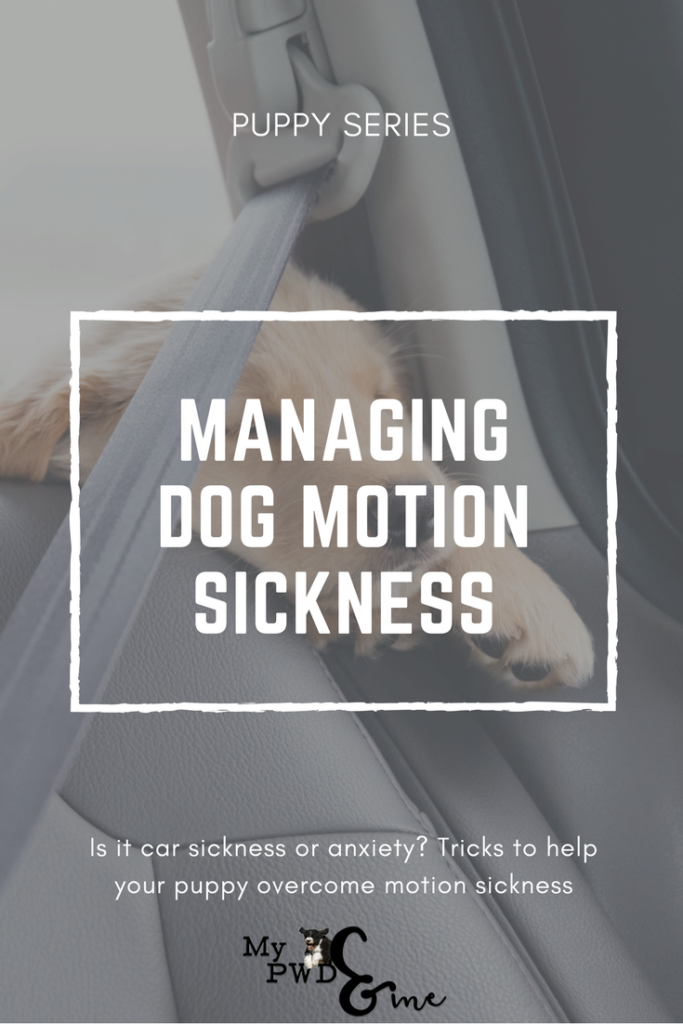 Puppy Series: Managing Dog Motion Sickness - My PWD and Me