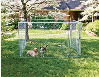 Puppy Proofing Your Yard - My PWD and Me